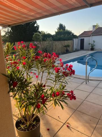 Les Voyages De Louison Bed and Breakfast Lavardac Εξωτερικό φωτογραφία